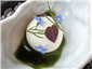 oyster dish